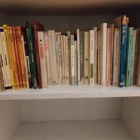 3 libri per 3 euro (I)