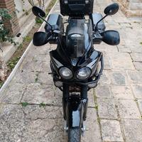 Triumph Tiger