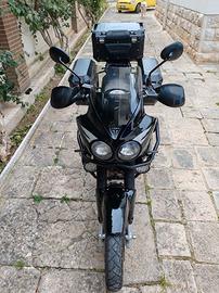 Triumph Tiger
