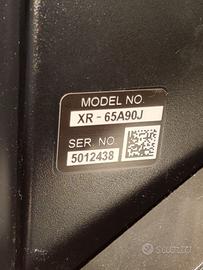 Sony Oled Master Series XR65A90J (ROTTO)