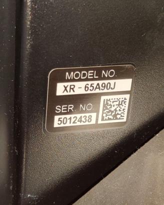 Sony Oled Master Series XR65A90J (ROTTO)