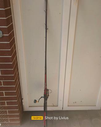 Canna spinning Shimano 