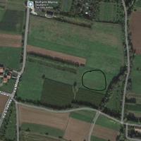 Terreno agricolo - Borso del Grappa