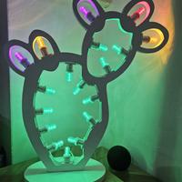 luminaria salentina fico d'india 