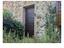 Immagine 18