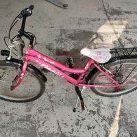 bicicletta mountain bike