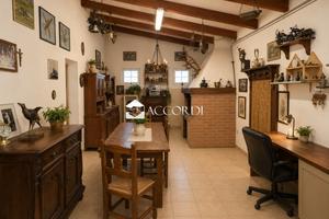 Casa di campagna immersa nel verde a Cartura