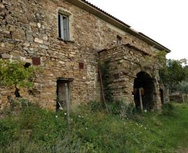 Terreno agricolo in via Campanina