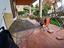 Immagine 13