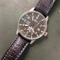 fortis flieger SRTM NASA L.E 