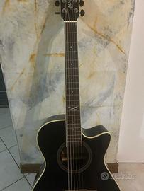 Chitarra acustica amplificata eko