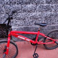 Bicicletta modello BMX