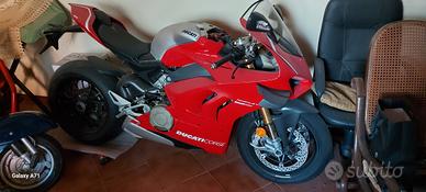 Ducati v4r nuova  da collezione