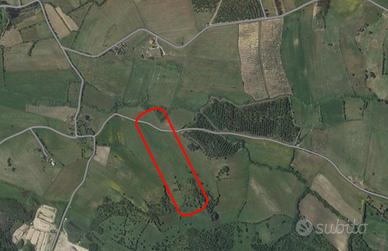 Terreno agricolo - Narcao