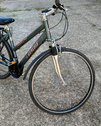 bicicletta Genesis MTB
