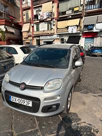 Panda gpl 2020