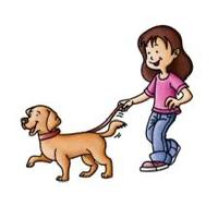 Assistenza cani - dog