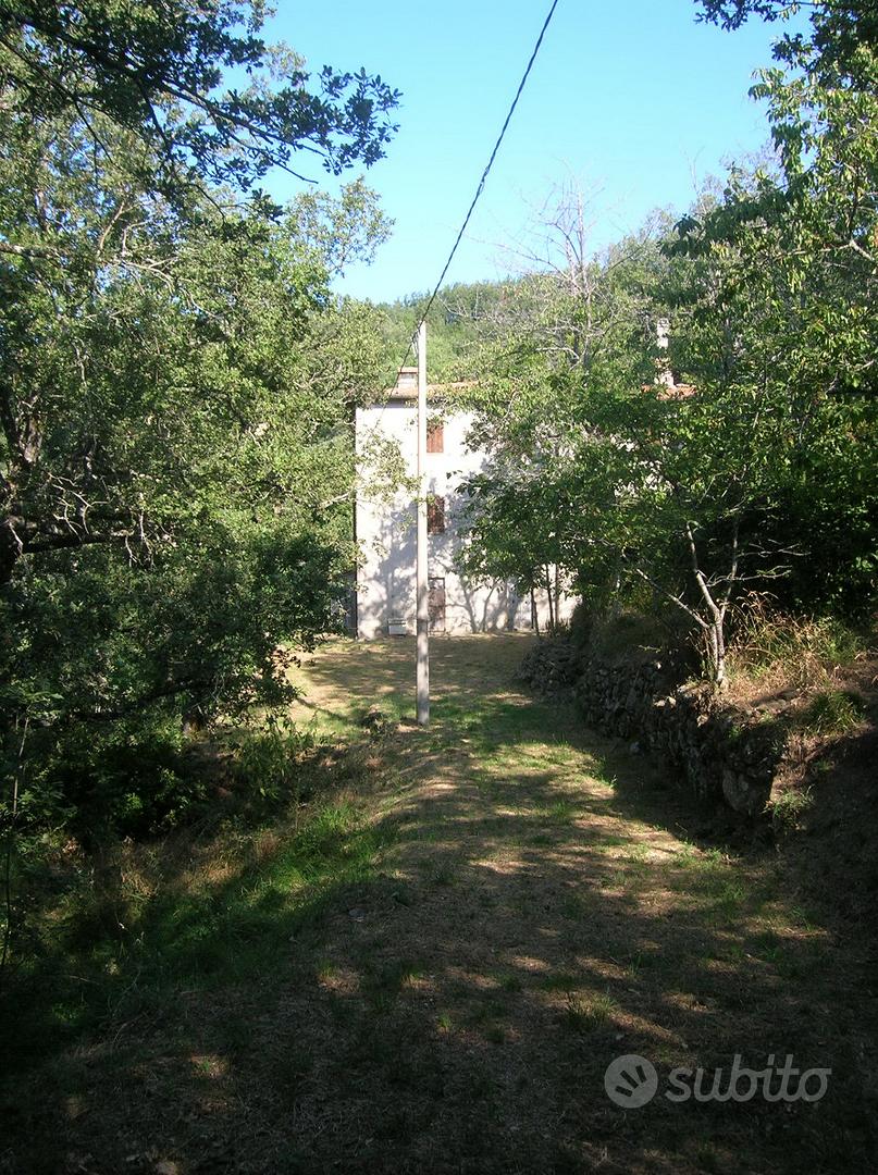 Colonica in casentino - Vista 3