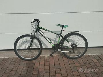 Bicicletta ragazzo