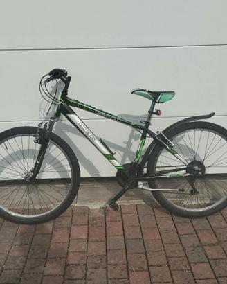 Bicicletta ragazzo
