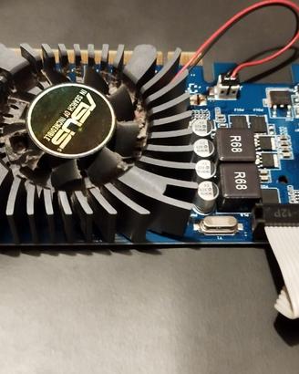 Scheda Video Asus GeForce GT 730