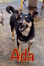 Ada: 11 mesi di allegria, dolcezza e vivace