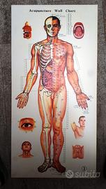 3 quadri per Shiatsu e Agopuntura