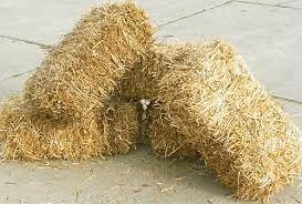 Balle fieno cavalli conigli roditori
