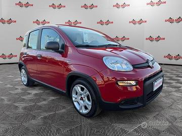 FIAT Panda 1.0 firefly hybrid 70cv 5 POSTI, P...