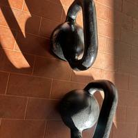 2 Kettlebell da 12 kg