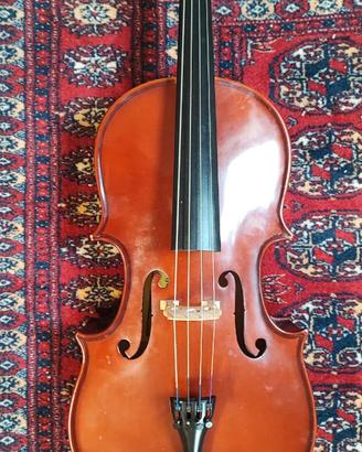 Violoncello 1/16