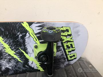 Skateboard