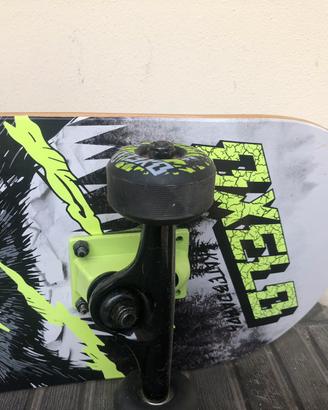 Skateboard