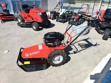 Trinciaerba Blue Bird Domino TS PRO Honda usato