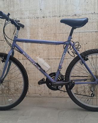 Bicicletta Mountain Bike