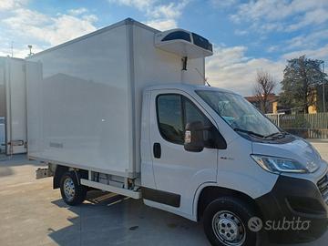 DUCATO FRIGO
