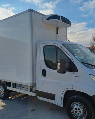 DUCATO FRIGO
