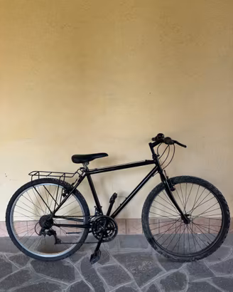 Bicicletta Nera perfetta