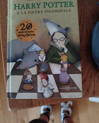 Harry Potter e la pietra filosofale (1)