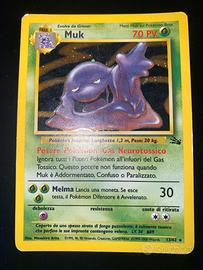 Muk Holo (FO 13/62) Fossil - Good/Excellent - ITA