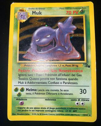 Muk Holo (FO 13/62) Fossil - Good/Excellent - ITA