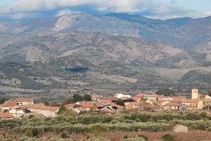 Vigneto nel cuore della DOC Etna a Solicchiata