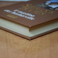 IL MASTINO DEI BASKERVILLE – Sherlock Holmes 📖