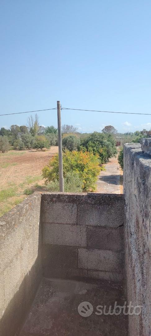 Capannone rurale e terreno coltivabile San Cesario - Vista 2