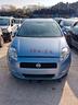 fiat-punto