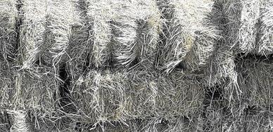 Fieno in ballette maggengo Savigliano