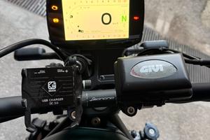 Benelli Leoncino 800