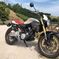 Derbi Mulhacen 659, scrambler moderna