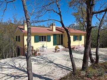 Nei Boschi delle colline Marchigiane