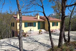 Nei Boschi delle colline Marchigiane